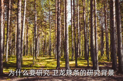 衛龍辣條創業分析...